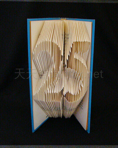 拉夫领:折叠书籍艺术-25