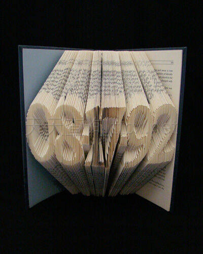 捆绑包:折叠书籍艺术-12
