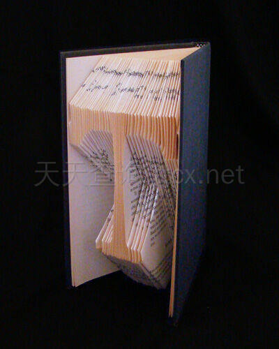 捆绑包:折叠书籍艺术-14