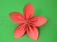 折纸Kusudama花-1