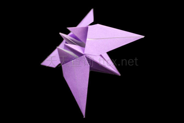 折纸鸢尾花-1