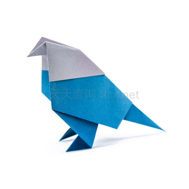 折纸鸟-1