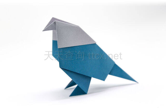 折纸鸟-26