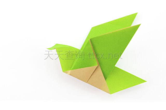 简易折纸鸟-14