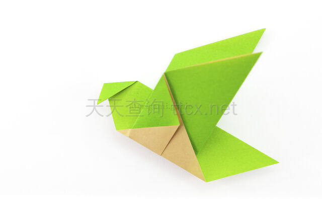 简易折纸鸟-13
