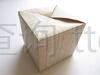 折纸藤本立方体-1