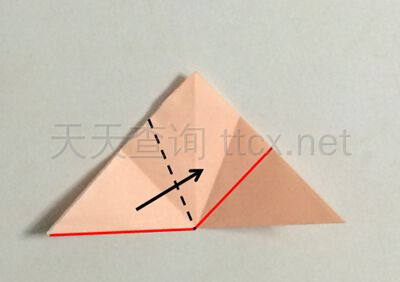 牵牛花-10