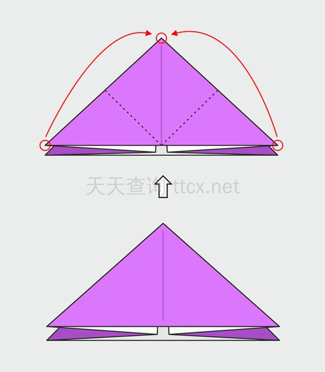 兰花-7