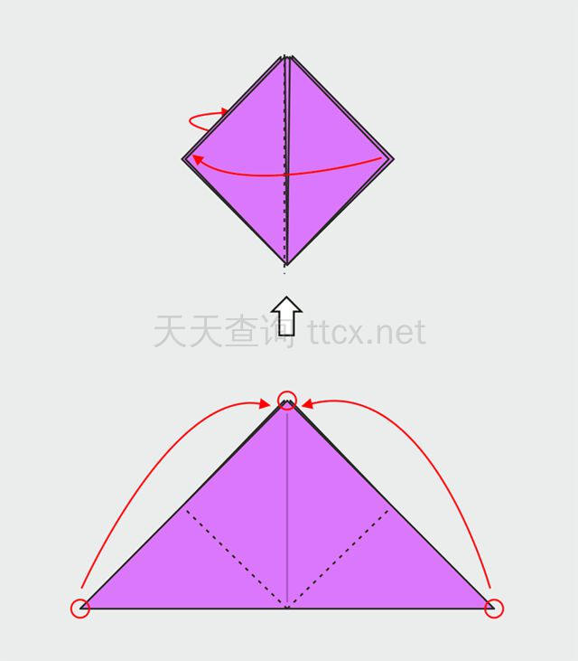 兰花-9