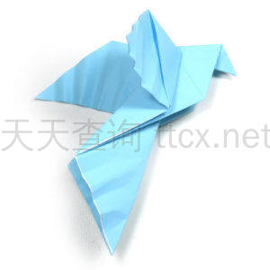 传统折纸鸽子-1